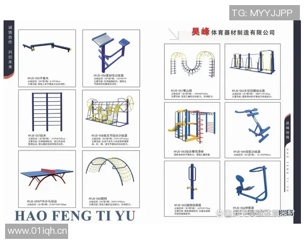 健身器材选购指南：如何根据不同需求挑选最适合你的设备